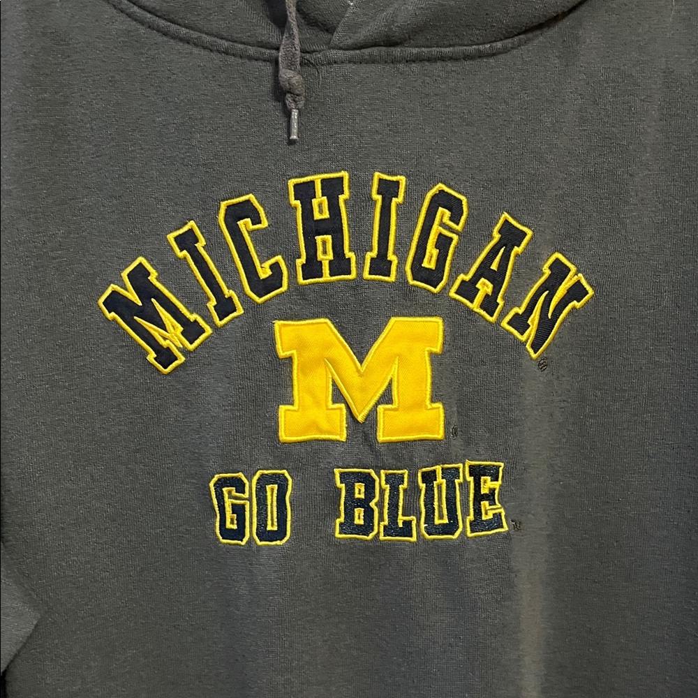 Michigan GO BLUE Hoodie/ Pullover
Gray & Yellow Unisex size XXL - Picture 2 of 4